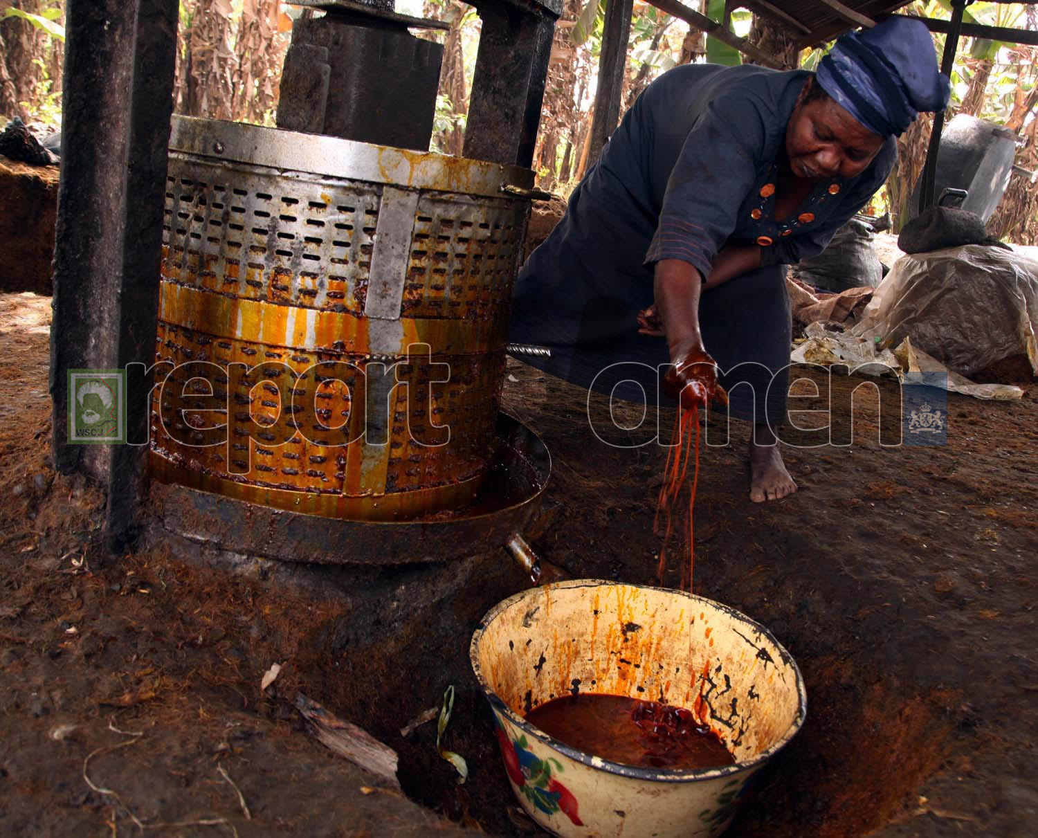 In Pictures: Nigeria’s Hardworking Women In Agriculture