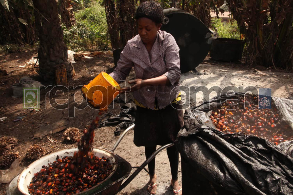 Evelin Micheal taking out the  boiled oil palm fruits from the fire to be processed into palm oil, usually manually, and always by women. Photo By Emmanuel Osodi