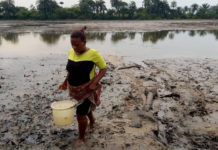 Infant/maternal mortality: How oil spill impacts on Ogoni